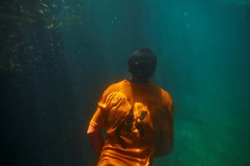 Cape Town: Guided Kayak Tour of Clifton Beaches & The Coast - The Sum Up: Who Should Consider This Tour?