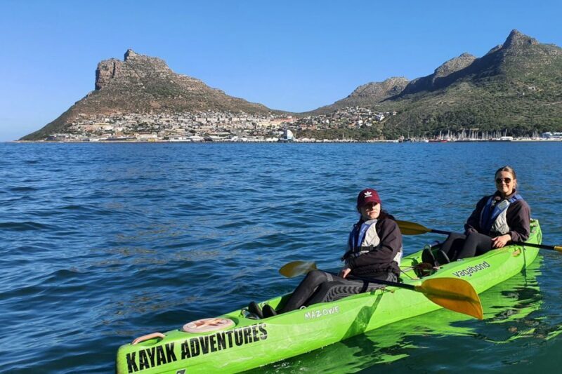 Cape Town: Guided Kayaking in Hout Bay - Why This Tour Offers Great Value