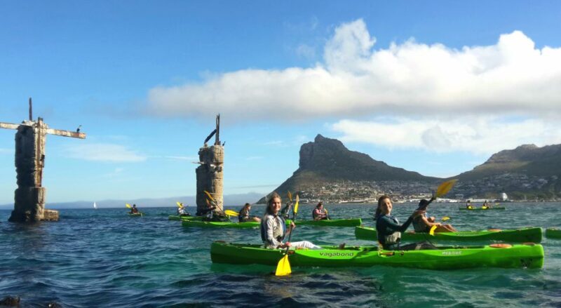 Cape Town: Guided Kayaking in Hout Bay - The Sum Up