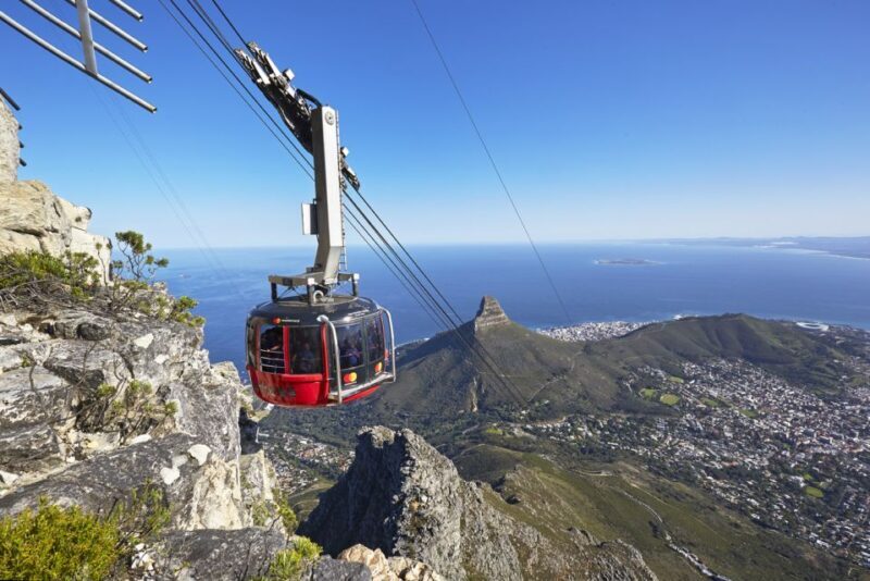 Cape Town: Half-Day City Tour - Practical Tips for Making the Most of the Tour