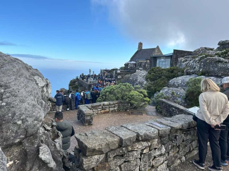 Cape Town: Half Day Table Mountain & Kirstenbosch Gardens - The Itinerary in Detail