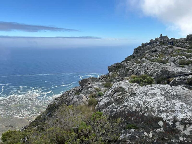 Cape Town: Half Day Table Mountain & Kirstenbosch Gardens - Assessing the Value