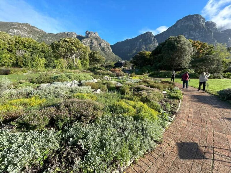 Cape Town: Half Day Table Mountain & Kirstenbosch Gardens - The Sum Up