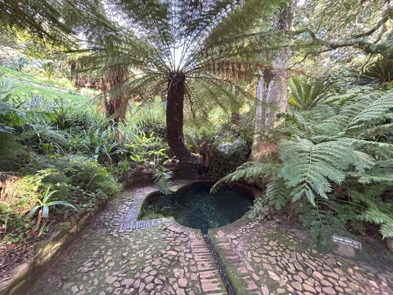 Cape Town: Half Day Table Mountain & Kirstenbosch Gardens - FAQ