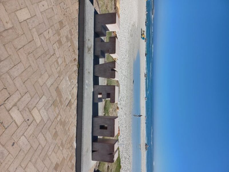 Cape Town: Halfday African Penguin tour - Key Points