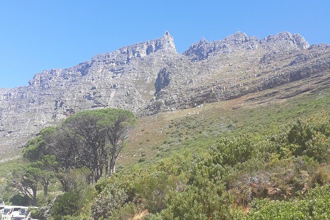Cape Town Halfday City and Table Mountain Tour - Practical Considerations