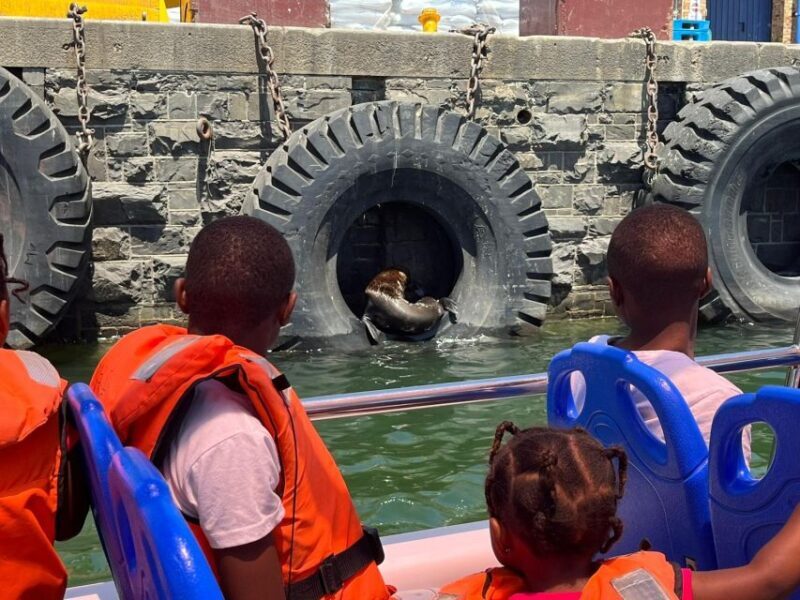 Cape Town: Harbor Cruise - An In-Depth Look at the Cape Town Harbor Cruise