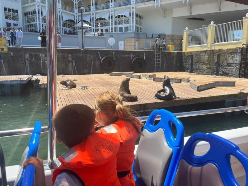 Cape Town: Harbor Cruise - Final Thoughts