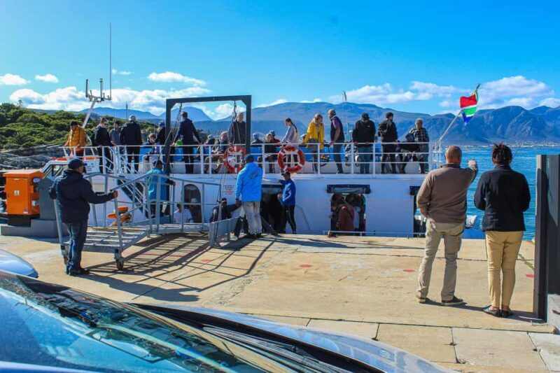 Cape Town: Hermanus Boat Cruise Whale Watching Tour - Key Points
