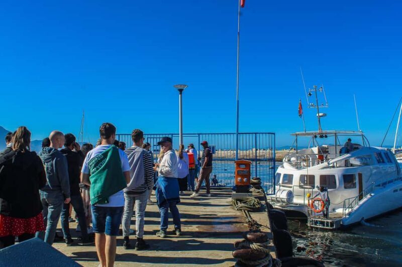 Cape Town: Hermanus Boat Cruise Whale Watching Tour - Starting Point: From Cape Town to Hermanus