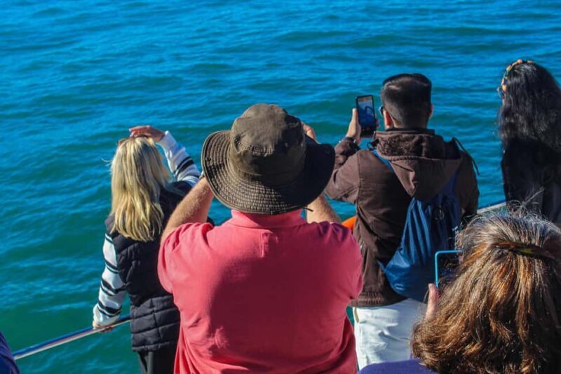 Cape Town: Hermanus Boat Cruise Whale Watching Tour - The Coastal Drive and Seaside Towns