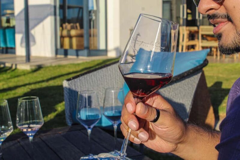 Cape Town: Hermanus Boat Cruise Whale Watching Tour - Optional Wine Tasting and Cultural Stops