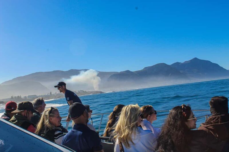 Cape Town: Hermanus Boat Cruise Whale Watching Tour - Who Will Enjoy This Tour?