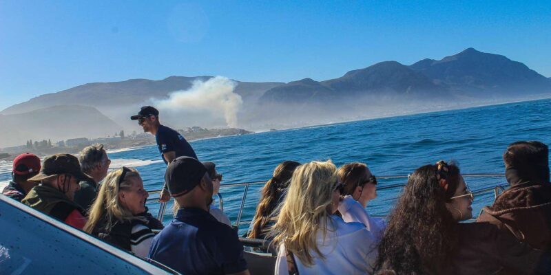 Cape Town: Hermanus Boat Cruise Whale Watching Tour - FAQs