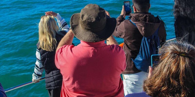 Cape Town: Hermanus Boat Cruise Whale Watching Tour - Final Thoughts