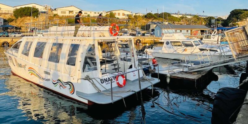 Cape Town: Hermanus Whale Watching Tour - The Sum Up