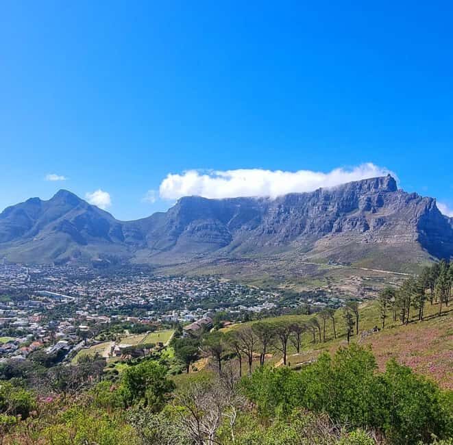 Cape Town: Historical and Scenic Mother City Tour - Key Points