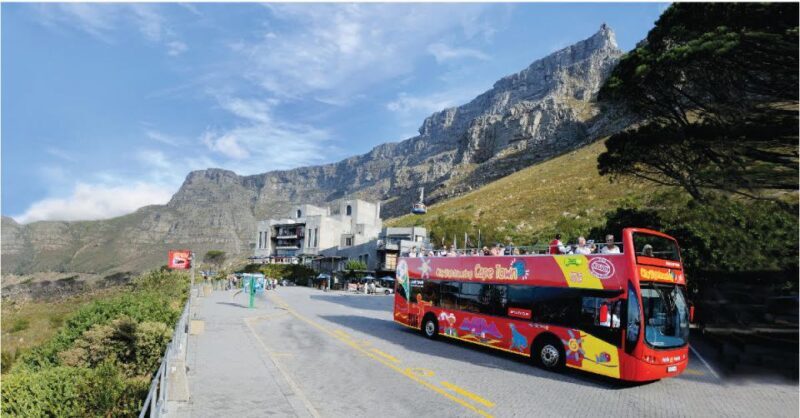 Cape Town: Hop-On Hop-Off Bus Tour with Optional Cruise - Key Points