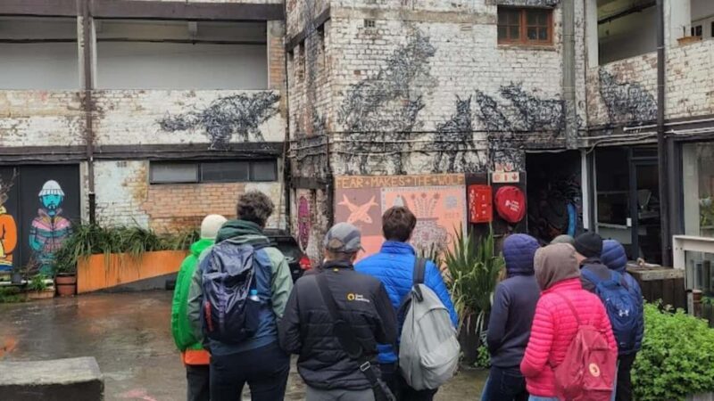 Cape Town: Inspiring sustainable change through Street Art - Exploring Cape Town’s Street Art Scene: A Deeper Look