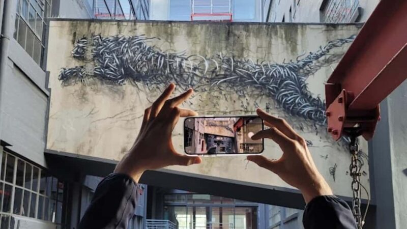 Cape Town: Inspiring sustainable change through Street Art - Who Will Love This Tour?