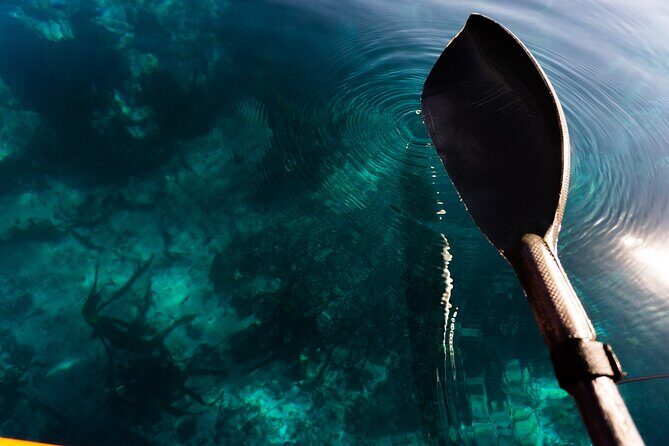 Cape Town Kayak Adventure in Table Mountain Marine Reserve - An In-Depth Look at the Cape Town Kayak Adventure