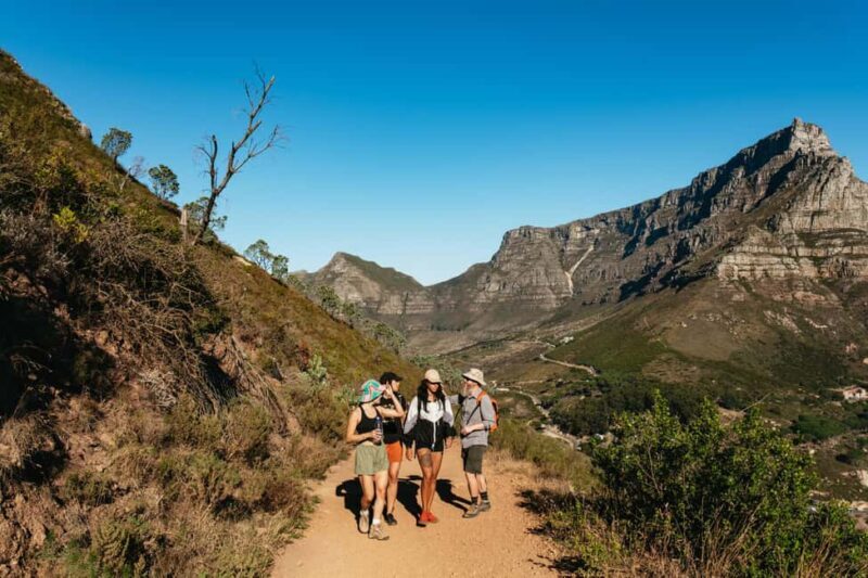 Cape Town: Lion's Head Guided Hike at Sunset - What the Tour Includes and How It Works