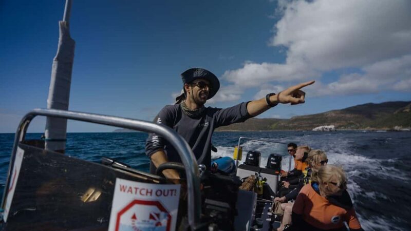Cape Town: Marine Big 5 Ocean Safari & Research Expedition - Key Points