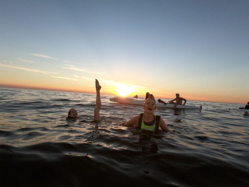 Cape Town: Marine Life Kayak Tour From the V&A Waterfront - An In-Depth Look at the Marine Life Kayak Tour