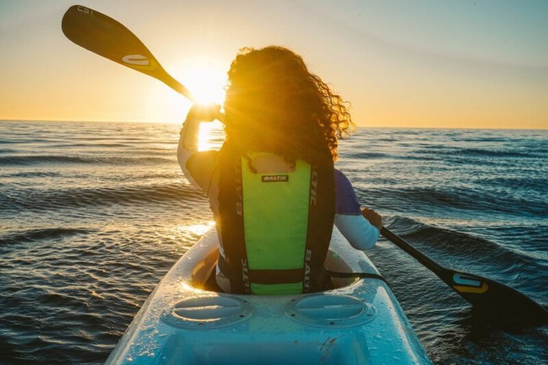 Cape Town: Marine Life Kayak Tour From the V&A Waterfront - Who Should Consider This Tour?