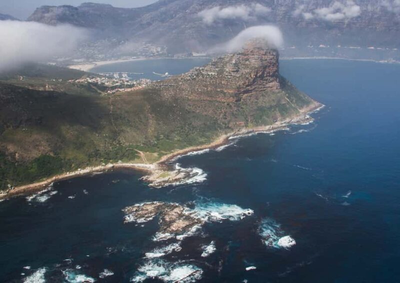 Cape Town: Ocean Safari in Hout Bay - Key Points