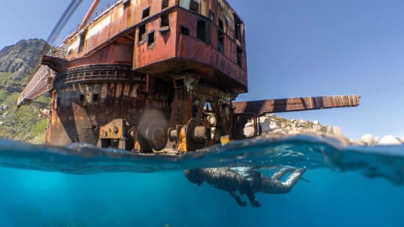 Cape Town: Ocean Safari in Hout Bay - FAQs