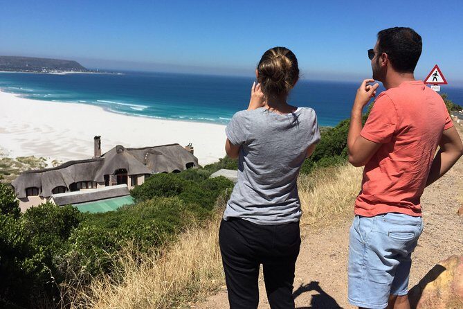 Cape Town Peninsula Day Tour ( Cape Point/Boulders/Wine Tasting) - Practical Details and Tips