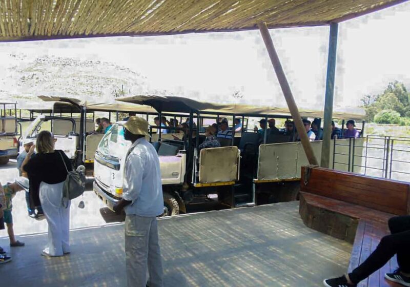Cape Town: Private Aquila Reserve Safari with Winery Lunch - The Itinerary Explored in Depth