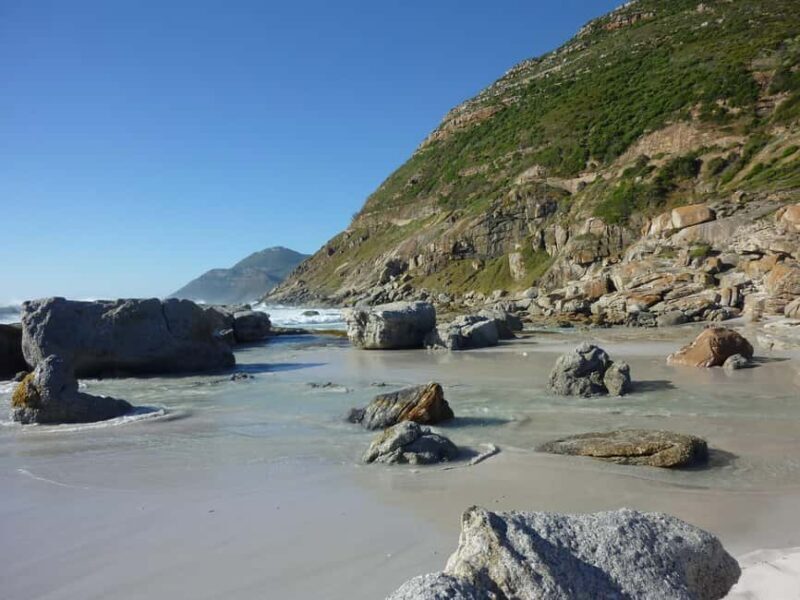 Cape Town: Private Cape Peninsula Full-Day Tour with Local - Practical Details and Value