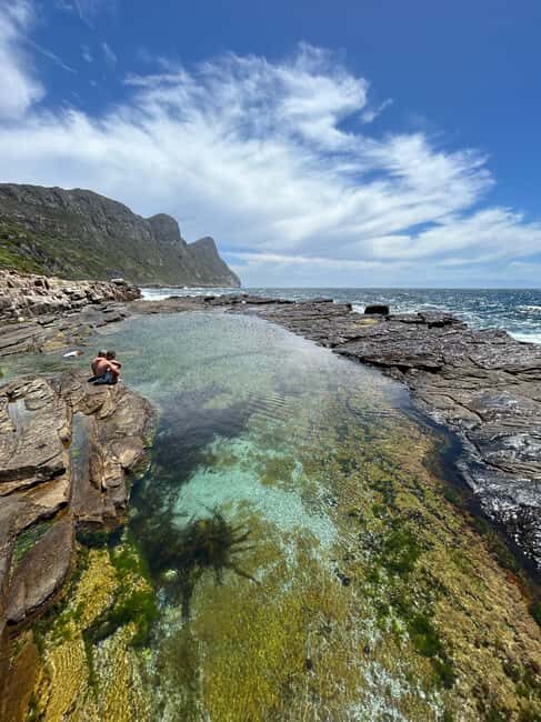 Cape Town: Private Cape Peninsula Tour with Picnic Lunch - Key Points