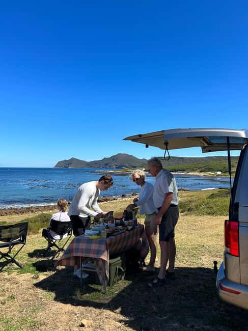 Cape Town: Private Cape Peninsula Tour with Picnic Lunch - A Detailed Look at the Experience