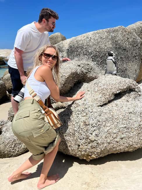 Cape Town: Private Cape Peninsula Tour with Picnic Lunch - The Sum Up