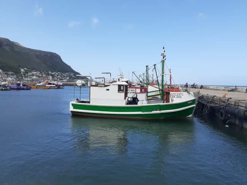 Cape Town: Private Cape Point and Cape Peninsula Tour - Practical Tips for Travelers