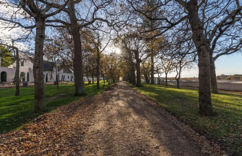 Cape Town: Private Cape Winelands Tour with 15 Wine Tastings - Frequently Asked Questions