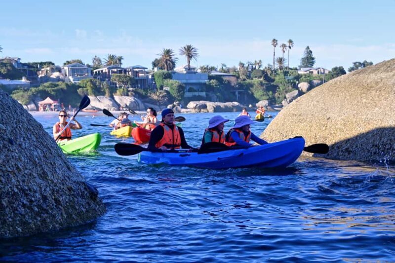 Cape Town: Private Guided Kayak Tour - A Detailed Look at the Experience