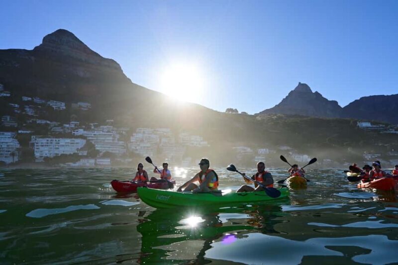 Cape Town: Private Guided Kayak Tour - Who Should Consider This Tour?
