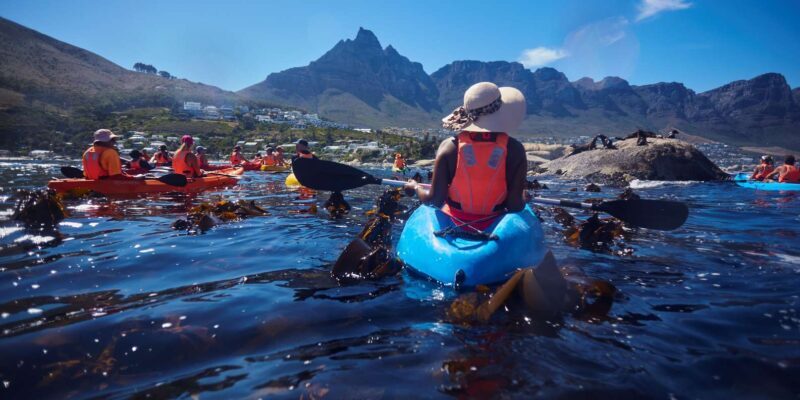 Cape Town: Private Guided Kayak Tour - Frequently Asked Questions