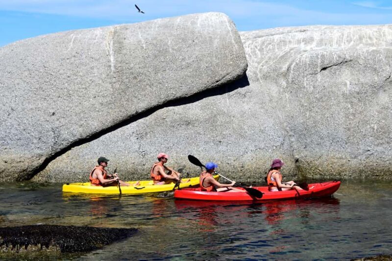 Cape Town: Private Guided Kayak Tour - Final Thoughts