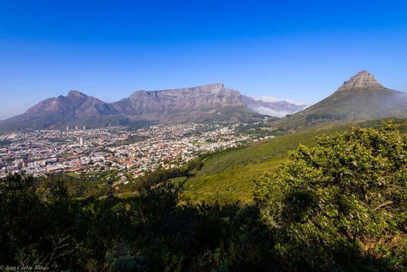 Cape Town: Private Half-Day City Highlights Tour with Local - Frequently Asked Questions