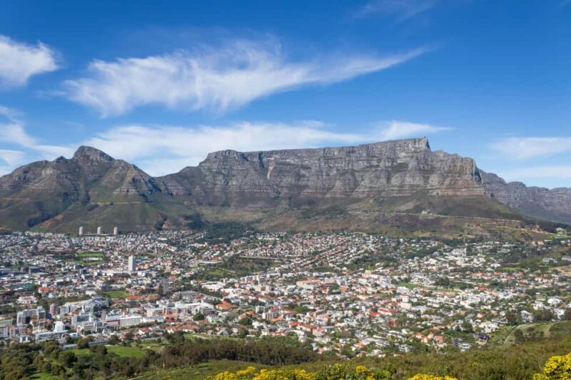 Cape Town: Private Half Day City Tour - An In-Depth Look at the Cape Town Private Half-Day Tour