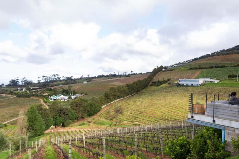 Cape Town: Private Half Day Winelands Tour - An Introduction to the Cape Winelands Tour