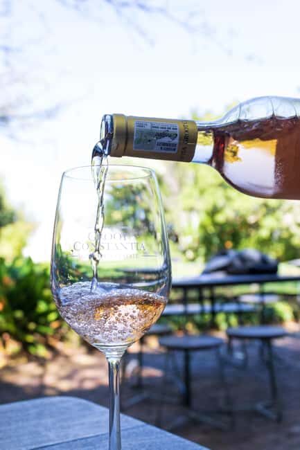 Cape Town: Private Half Day Winelands Tour - Who Will Benefit Most?