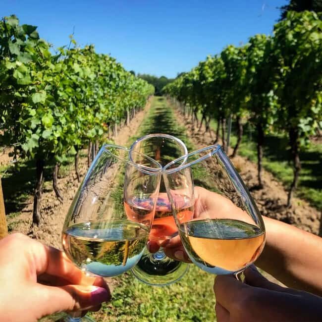 Cape Town: Private Quad Bike, Wine, and Diamond Tour - Practical Details and Comfort
