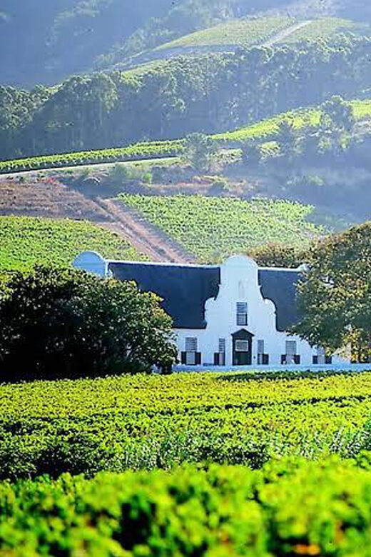 Cape Town: Private Stellenbosch and Franschhoek Wine Tour - A Full-Scale Look at the Private Wine Tour Experience
