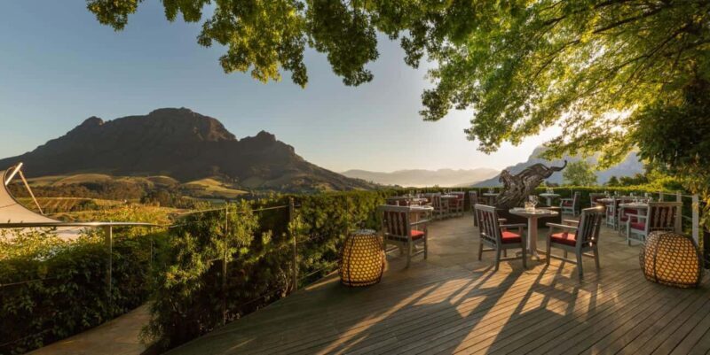 Cape Town: Private Wine Tour with Tastings and Lunch - Key Points